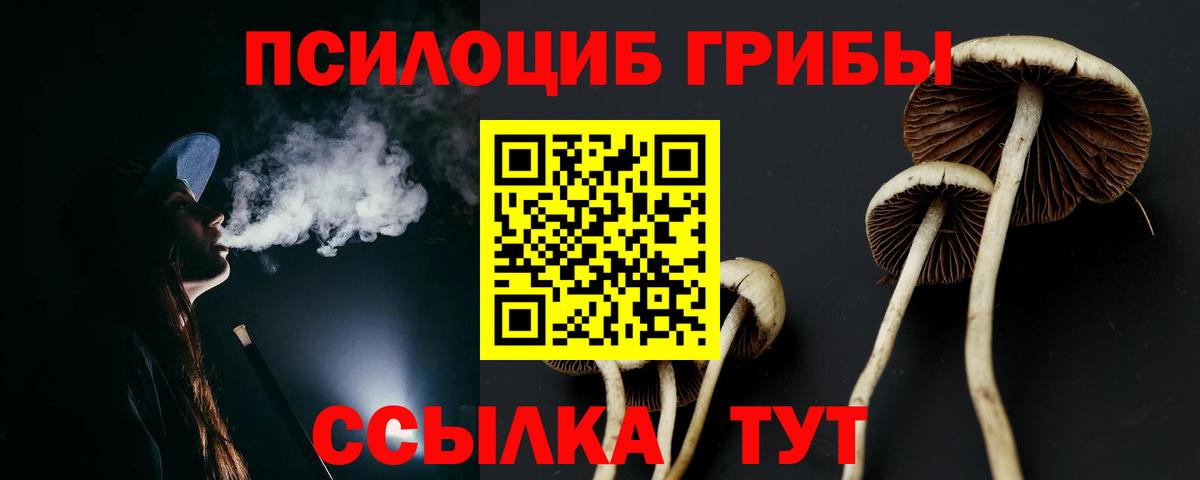 Галлюциногенные грибы MAGIC MUSHROOMS Камышлов